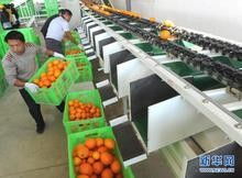 深圳二手食品生產(chǎn)線進口代理全流程解析 西班牙搬遷、備案中檢、報關一站式服務